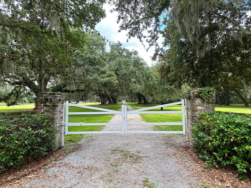 White double-swing gate across a gravel drive between stone pillars, with live oaks lining the road beyond