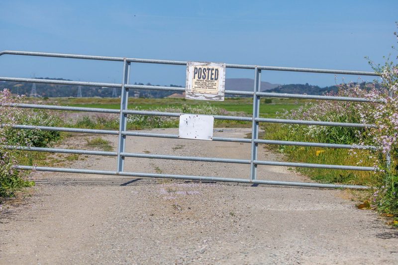 Galvanized tube gate across a gravel road with a posted sign hung on it and wildflowers at the side