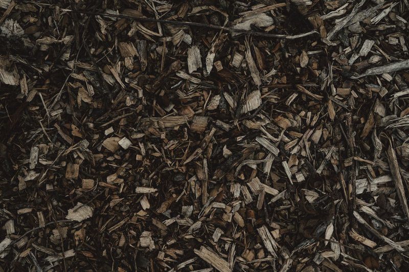 Close-up of shredded wood chips covering the ground